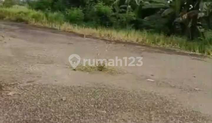 Disewakan Lahan / Tanah Padat Lokasi Di Jalan Raya Grand Wisata Bekasi di Grand Wisata Tanah