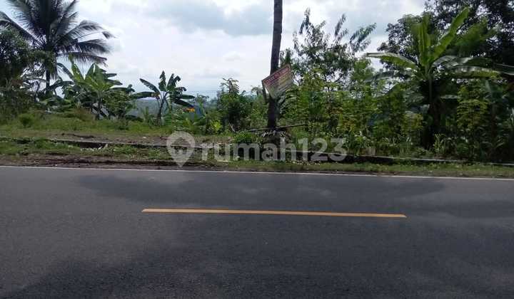 Dijual Murah Kavling Pinggir Jalan Di Bojonggaling Pelabuhan Ratu Kecamatan Bantargadung Jawa Barat 1