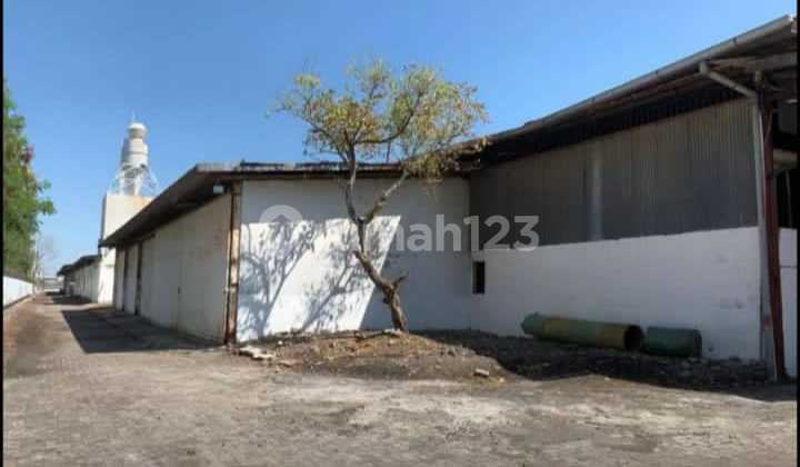 For Rent Factory on Pantura Highway Demak Central Java Factory in Sayung 41000.0 m² For Rent Factory on Pantura Highway Demak Central Java Factory in Sayung 41000.0 m²