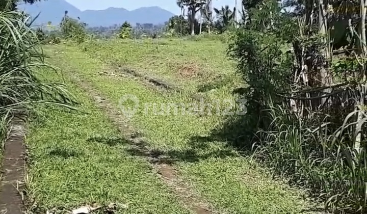 Tanah Kavling Siap di Bangun di Payangan Gianyar