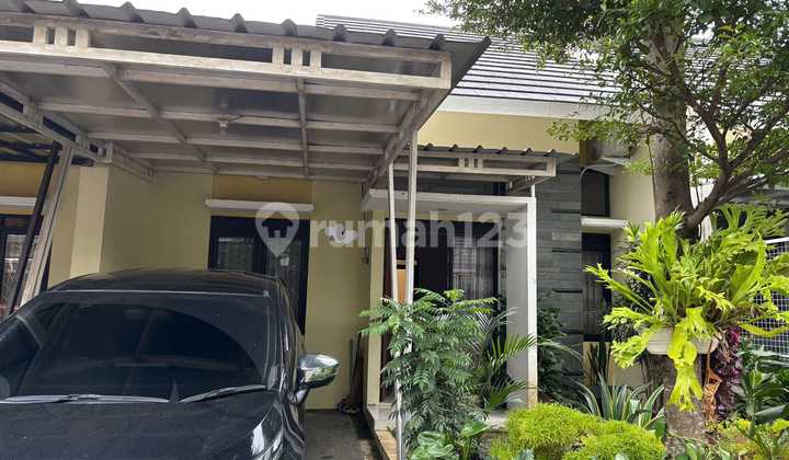 Sewa Atau Jual Rumah Asri Bagus Komplek Elit Jingga Residence Sewa Atau Jual Rumah Asri Bagus Komplek Elit Jingga Residence