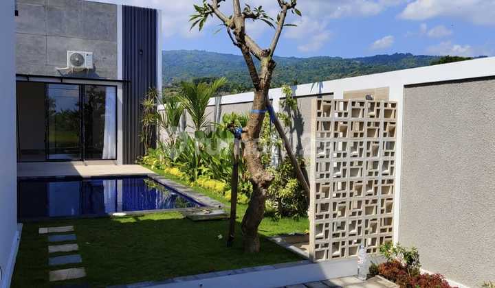 Beautiful New Rice Field Villa For Sale in Lovina, Buleleng, Bali