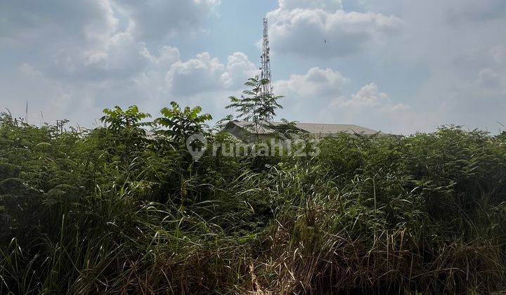 Tanah Kavling Bima Fajar Grand Wisata 126m2 1