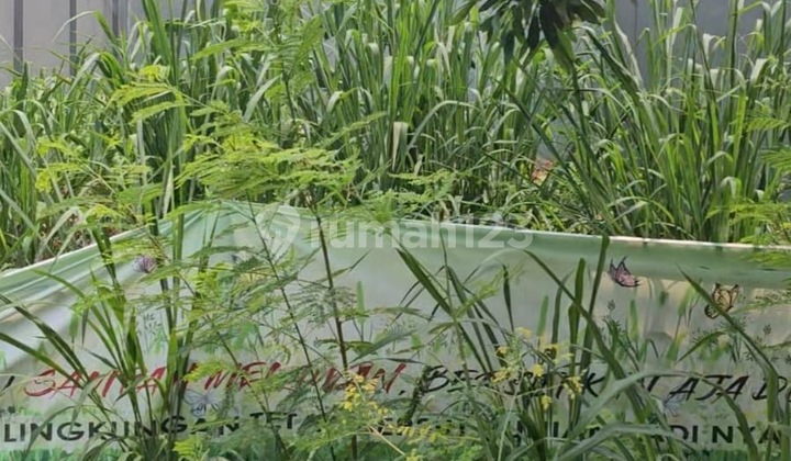 Dijual Kavling Murah 7x18 dan 8x18 Buana Gardenia ,Pinang Tangerang