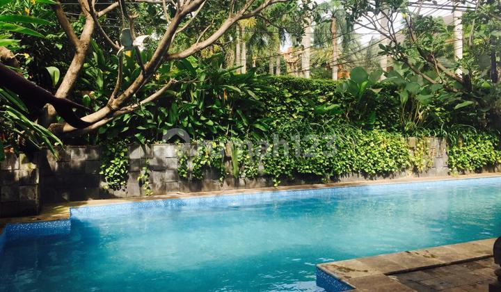 Jual Rumah Menteng Jakarta Pusat Ada Pool Kolam Renang Jual Rumah Menteng Jakarta Pusat Ada Pool Kolam Renang