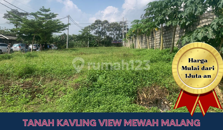 Dream Land for Your Family's Future Dream Land for Your Family's Future