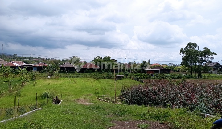 Good Environmental Legality Villa 7 Meters Stone 2