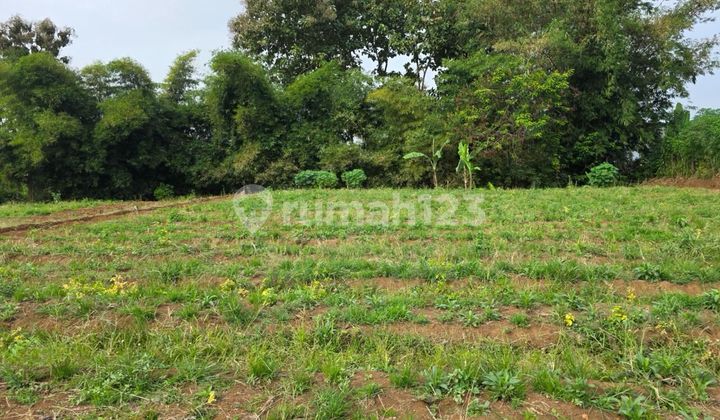 Kavling Strategis Merjosari Malang Dekat Kampus Legalitas Aman