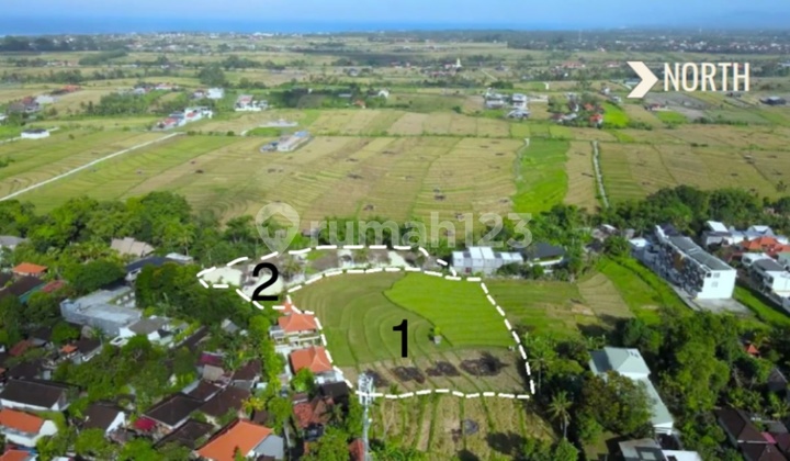 Tanah Pererenan, Badung 5770 m2