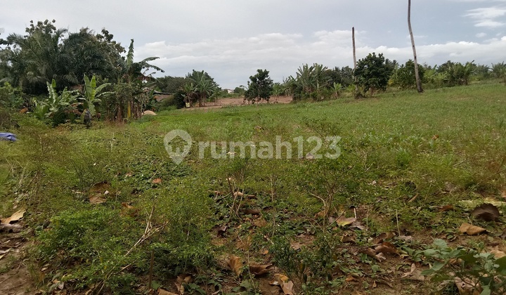 SIMPLICITY THE ICON BSD FOR RENT (MINIMUM 2 YEARS) SIMPLICITY THE ICON BSD FOR RENT (MINIMUM 2 YEARS)