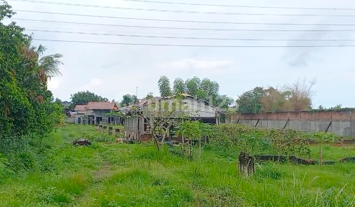 Land for rent in Teluk Naga (Warehouse foundation already in place). Land for rent in Teluk Naga (Warehouse foundation already in place).