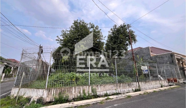 Land in Kanguru, Semarang 1