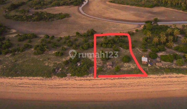 Beach Front in Oelolot Rote (5.023m2) Last Land for Sale on this Beach 1