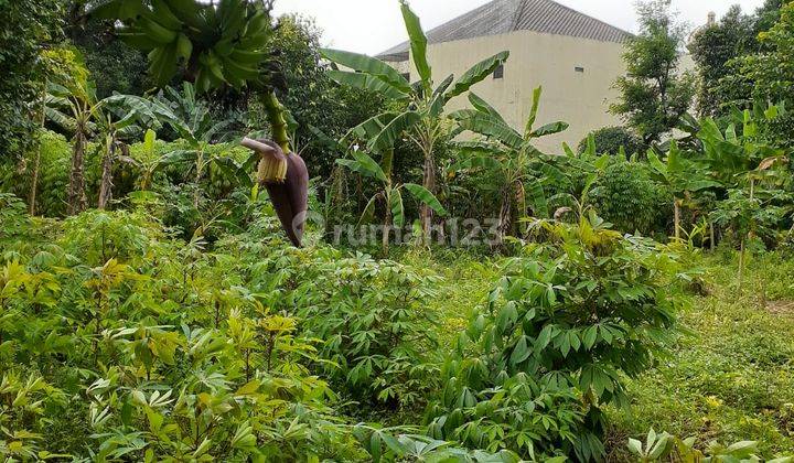 Dijual Cepat Tanah SHM murah di Jalan Masjid Ciater Tangsel sekelilingnya banyak perumahan/cluster baru bisa untuk investasi atau dibuat new townhouse 2