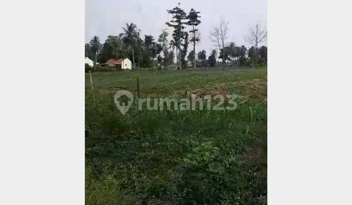 Dijual Tanah Di Tulung Agung Kec. Gading Rejo Lampung