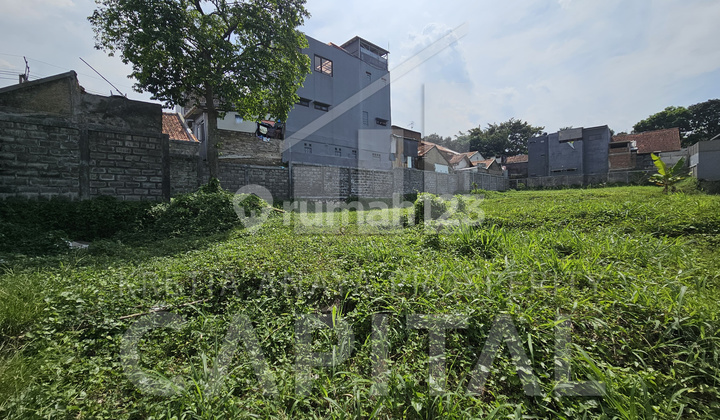 Nice plot ready to build in Setraduta.