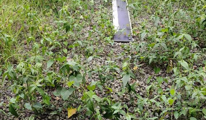 For Rent Commercial Space Jelupangkp. Baru Jelupang