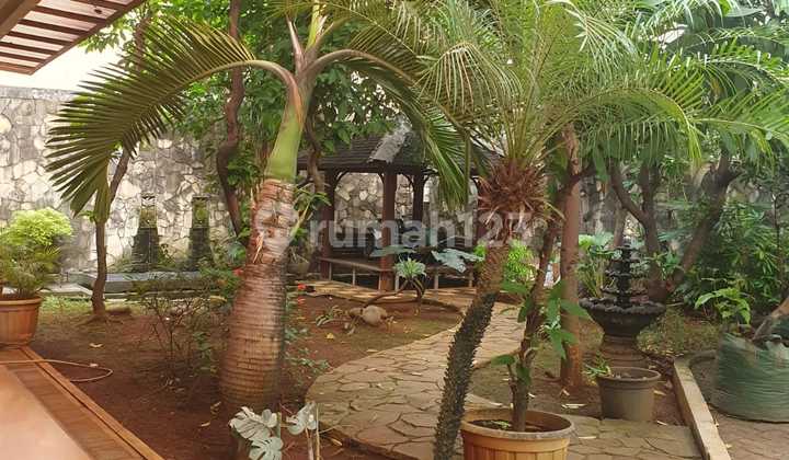 Dijual Rumah 2 Lantai dan Tanah bisa Berkebun Jl. Kedoya Raya, Kedoya Selatan Kebon Jeruk , Jakarta Barat Dijual Rumah 2 Lantai dan Tanah bisa Berkebun Jl. Kedoya Raya, Kedoya Selatan Kebon Jeruk , Jakarta Barat