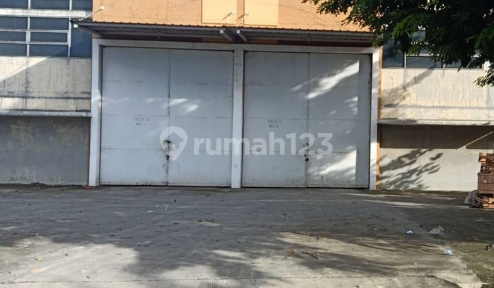 udang Siap Pakai di Kamal Bisnis Center - Akses Kontainer 40 Feet & Bebas Banjir udang Siap Pakai di Kamal Bisnis Center - Akses Kontainer 40 Feet & Bebas Banjir