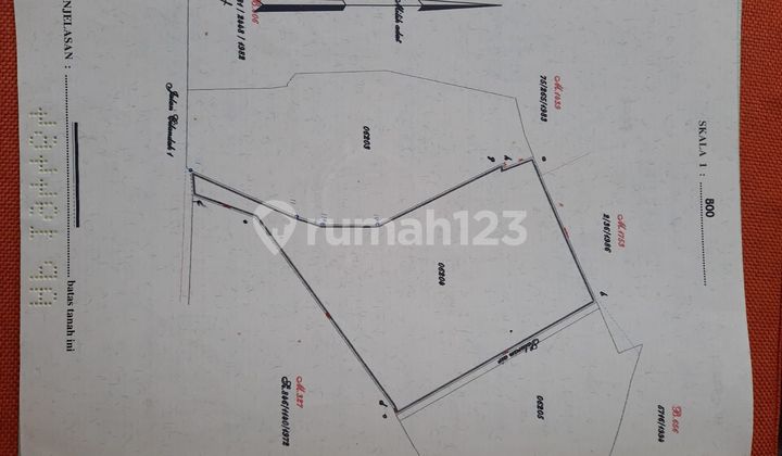 Rumah Tua 2 Lantai di Cilandak Jakarta Selatan, Siap Huni 2