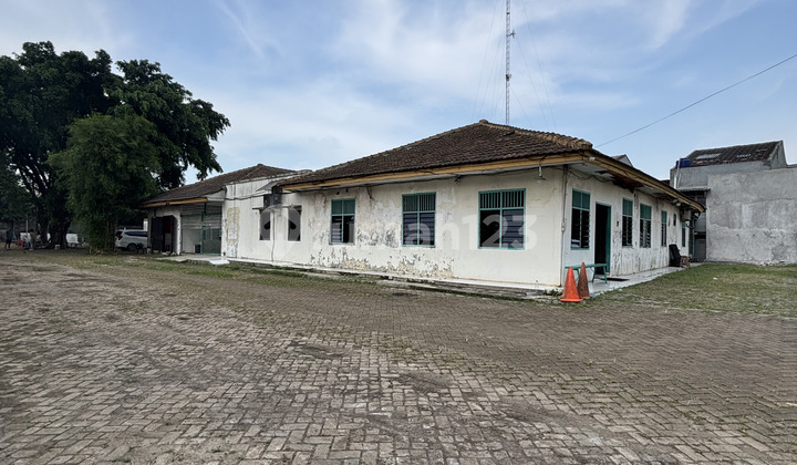 Mandiri Warehouse Ex. Shoe Sole in Tangerang, Gray Zone