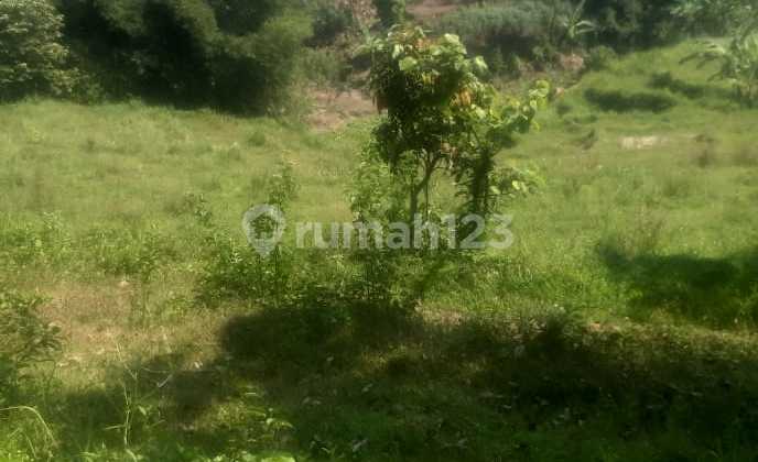 Dijual Tanah Cocok untuk Usaha di Maja Lebak Banten Dijual Tanah Cocok untuk Usaha di Maja Lebak Banten