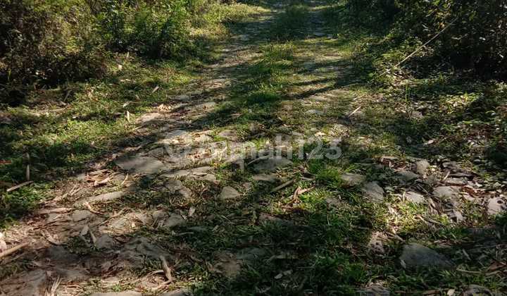 Land for Sale Suitable for Farming in Curug Bitung