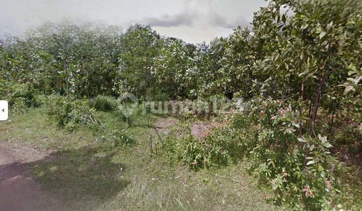 Dijual Tanah Lokasi Strategis di Bitung Tangerang Dijual Tanah Lokasi Strategis di Bitung Tangerang