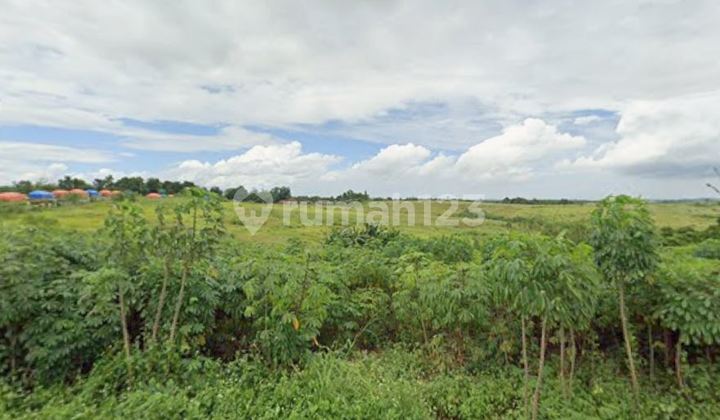 Dijual Tanah Lokasi Strategis di Maja Lebak Banten