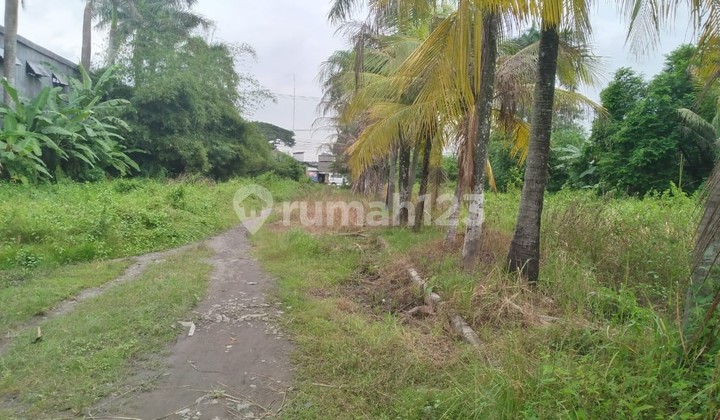 For Sale Land in Strategic Location in Balaraja Tangerang