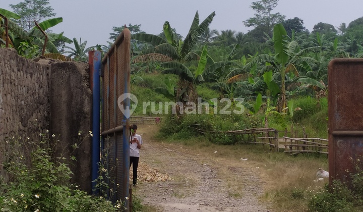 Tanah Daerah Rumpin Tangerang