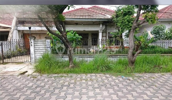 Rumah Manyar Indah Rumah Manyar Indah