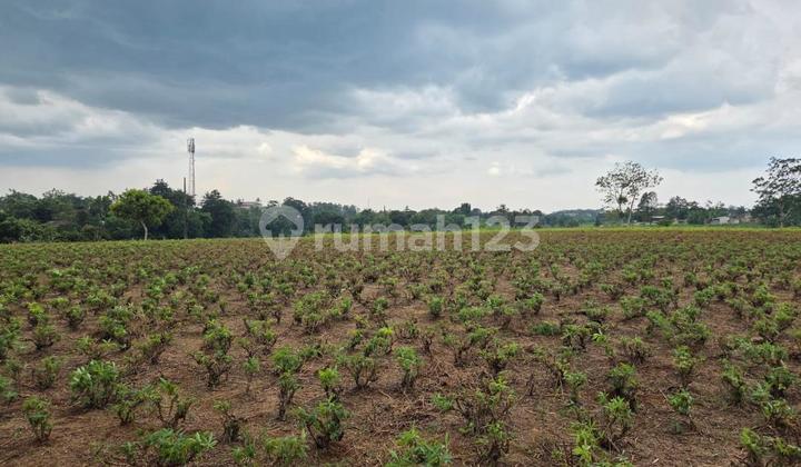 Investasi Tanah Kemang Parung Jual Lelang Murah