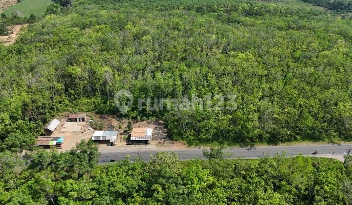 Tanah Luas 19960 M2 di Martapuran, Kabupaten Ogan Komering Ulu (Oku) Timur, Provinsi Sumatera Selatan