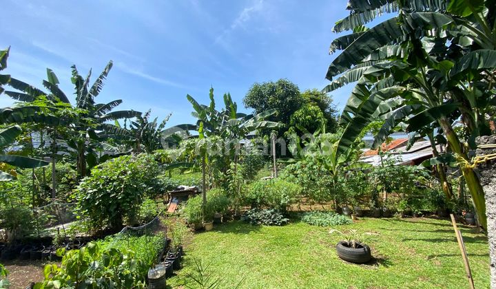 Commercial Lot Suitable for Business Sale Auction Price Commercial Lot Suitable for Business Sale Auction Price