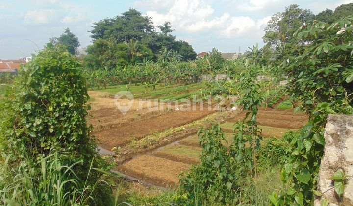 Kavling Siap Bangun Budi Agung Tanah Sareal Jual Harga Lelang