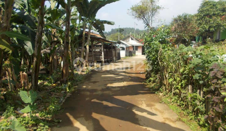 Rumah Pegunungan Cijeruk Bogor Jual Murah Lelang 2