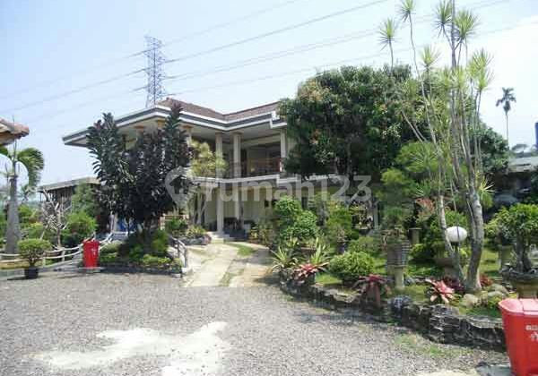 Vila Tanah Luas Cicurug Sukabumi Harga Lelang