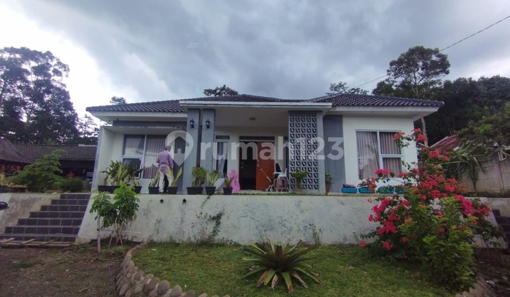 Sukawarna Villa House Cianjur Auction Sale Price