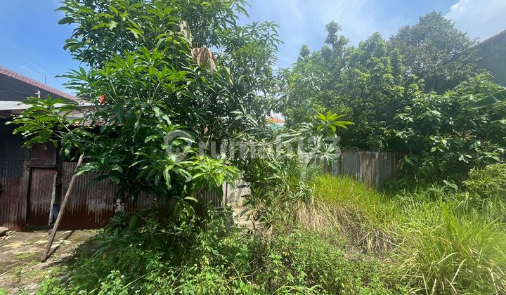 Tanah Cocok Untuk Usaha Atau Hunian 2