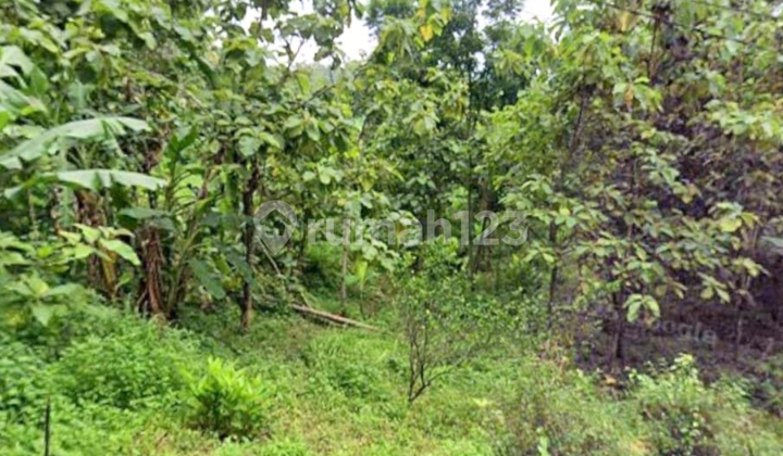 Land Suitable for Investment / Housing Development 1