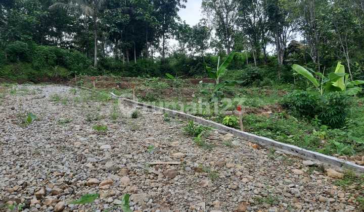 Land Suitable for Villas or Housing 2
