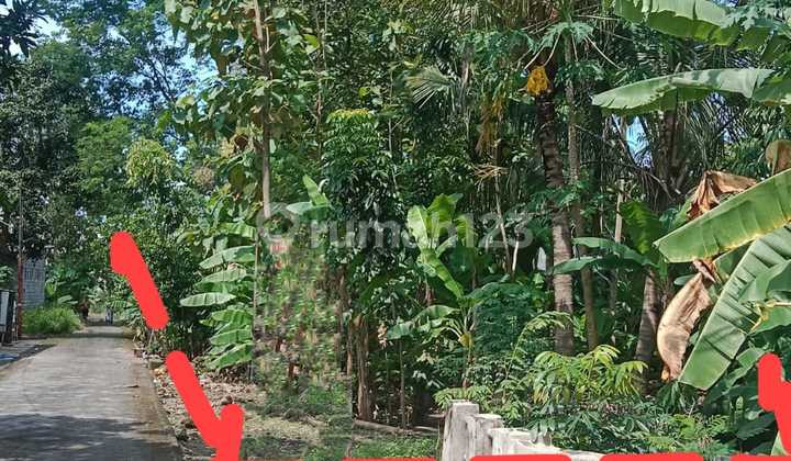 Tanah Cocok Untuk Kavling, Gudang Atau Tempat Usaha 2