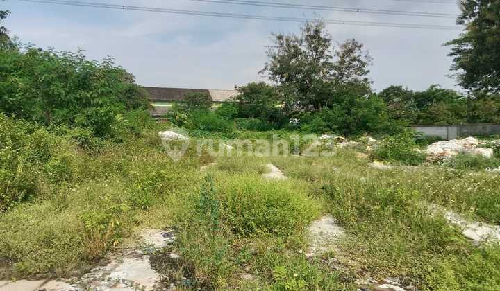 Very Large Land Suitable for Residential Area 1