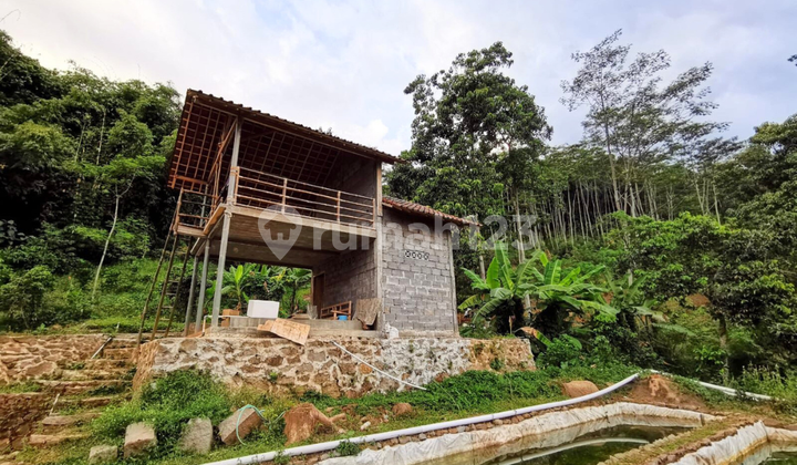 Tanah Luas Cocok untuk Villa / Tempat Wisata Tanah Luas Cocok untuk Villa / Tempat Wisata