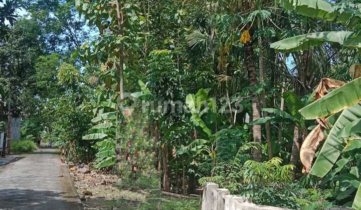 Tanah Cocok Untuk Kavling, Gudang Atau Tempat Usaha 1