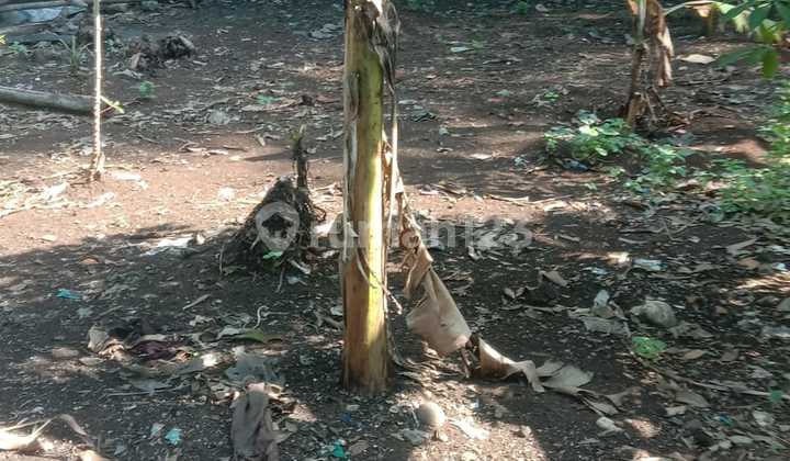 Dijual Tanah Pinggir Jalan Bojongsari Sawangan Depok Turun Harga 1