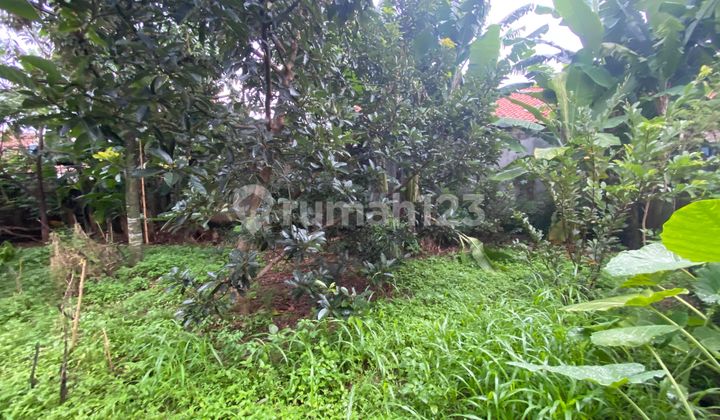 Dijual Tanah Cocok Rumah Tinggal Kontrakan Dekat Rumah Sakit Brawijaya Bojongsari Sawangan Depok 2