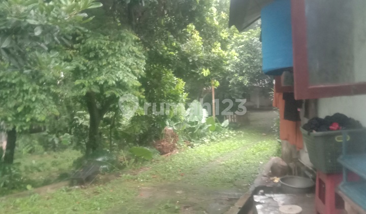 Cheap Land for Sale Adjacent to Margonda Raya Street Depok, Bonus House Included Cheap Land for Sale Adjacent to Margonda Raya Street Depok, Bonus House Included