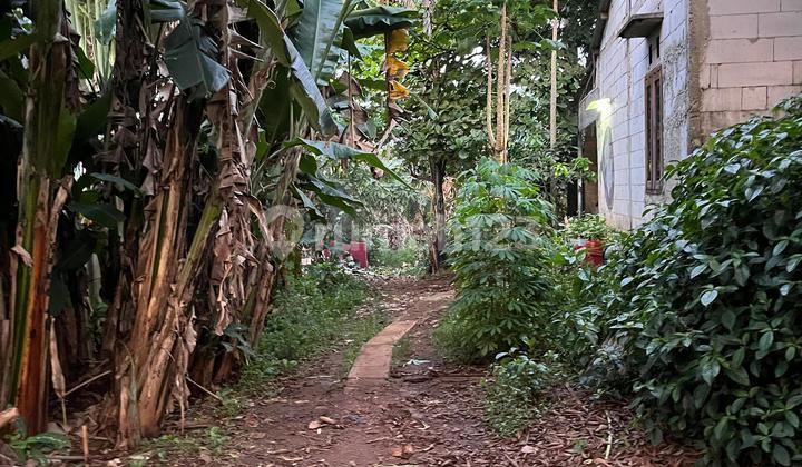 Dijual Cepat Tanah Kebun Murah Dekat Tol Kukusan dan Kampus Ui Dijual Cepat Tanah Kebun Murah Dekat Tol Kukusan dan Kampus Ui